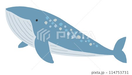 クジラのイラスト 114753731