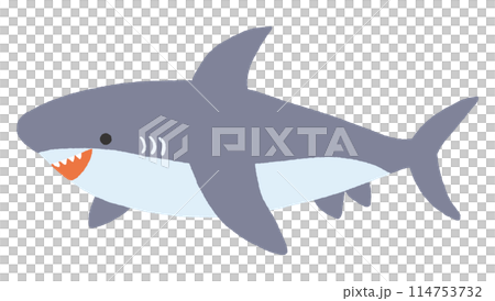 サメのイラスト 114753732