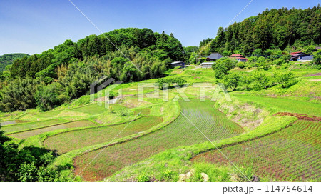 寺山の棚田 寺山の棚田 114754614
