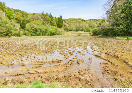 世界遺産「佐渡島(さど)の金山」 重文景「佐渡西三川の砂金山由来の農山村景観」 世界遺産「佐渡島(さど)の金山」 重文景「佐渡西三川の砂金山由来の農山村景観」 114755169