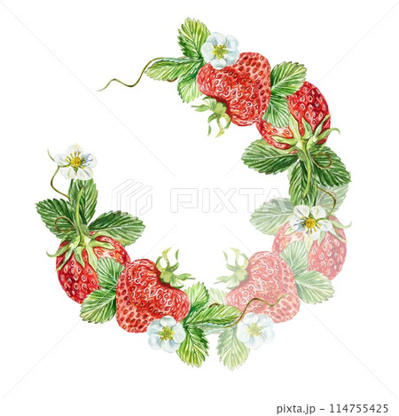 Strawberry composition semicircle. Berries, leaves, flowers. Watercolor illustration on white background. Juice and jam labels, packaging, cosmetics. 114755425
