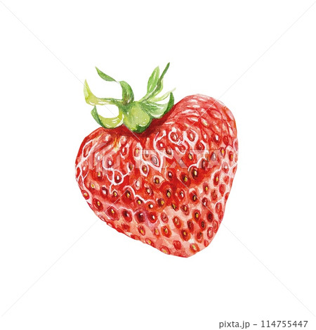 Strawberry. Ripe juicy. Watercolor botanical illustration of a berry isolated on a white background. Jam labels, food packaging, cosmetic products. Strawberry. Ripe juicy. Watercolor botanical illustration of a berry isolated on a white background. Jam labels, food packaging, cosmetic products. 114755447