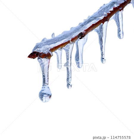 blue ice cream splash isolated on white blue ice cream splash isolated on white 114755578