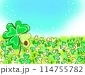 クローバー畑 114755782