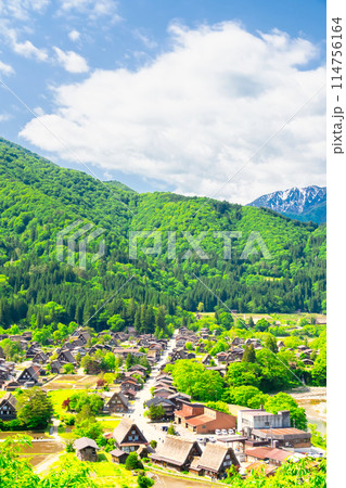 初夏の世界遺産　白川郷 114756164
