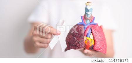 November Lung Cancer Awareness month. Doctor with Smoker Lung anatomy model and White ribbon in hospital. Healthcare and World Cancer day concept 114756173