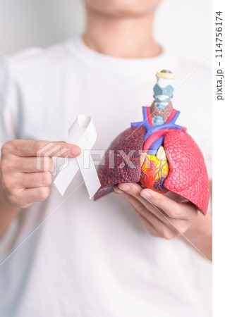 November Lung Cancer Awareness month. Doctor with Smoker Lung anatomy model and White ribbon in hospital. Healthcare and World Cancer day concept 114756174