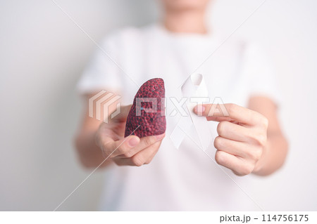 November Lung Cancer Awareness month. Doctor with Smoker Lung anatomy model and White ribbon in hospital. Healthcare and World Cancer day concept 114756175