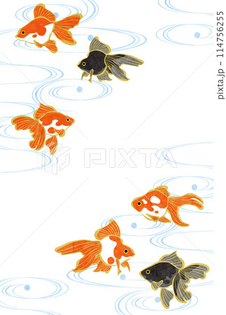 暑中見舞い、金魚、流水、和風、イラスト、かわいい、縦 暑中見舞い、金魚、流水、和風、イラスト、かわいい、縦 114756255