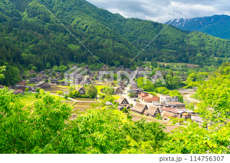 初夏の世界遺産　白川郷 114756307