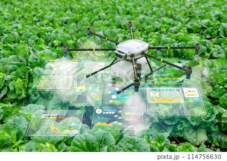 Agriculture technology concept with drone fly above with graphic display Agriculture technology concept with drone fly above with graphic display 114756630