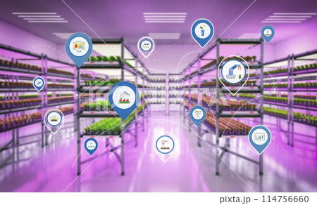 indoor farm system raised plants on shelves growth with led light indoor farm system raised plants on shelves growth with led light 114756660