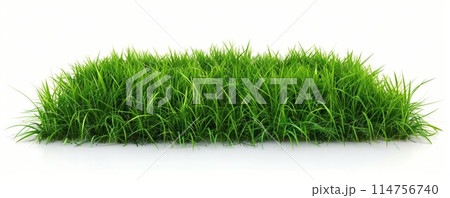 Vibrant green grass field on a pristine white background. 114756740