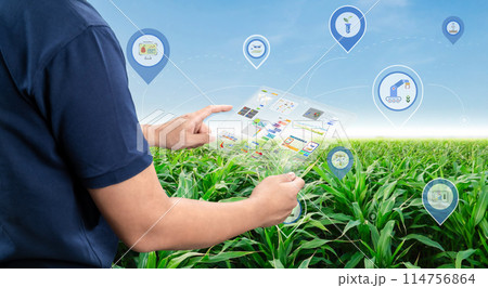 Agricultural engineer or farmer work with tablet in farm Agricultural engineer or farmer work with tablet in farm 114756864