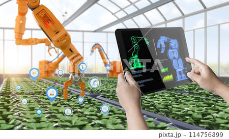 Agriculture technology concept with human control 3d rendering robotic arm in greenhouse 114756899