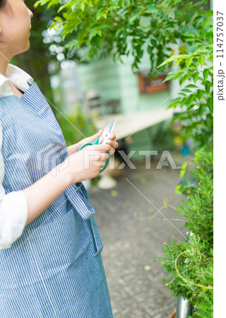 エプロンを着用した女性 エプロンを着用した女性 114757037