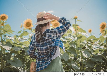 帽子を被った女性とひまわり畑 114757054