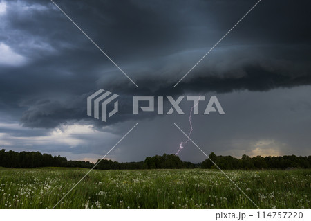 Witness a dramatic thunderstorm above a wildflower field with dramatic lightning strikes Witness a dramatic thunderstorm above a wildflower field with dramatic lightning strikes 114757220