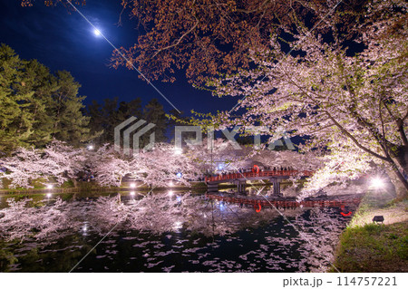 弘前城満月の夜 ライトアップされた花筏の西濠と満開の桜に囲まれる春陽橋 青森県 弘前城満月の夜 ライトアップされた花筏の西濠と満開の桜に囲まれる春陽橋 青森県 114757221