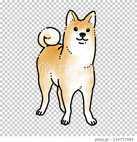 Simple watercolor illustration 114757485