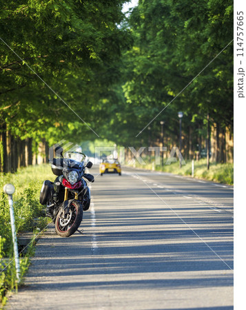 新緑のメタセコイヤ並木とバイク 114757665