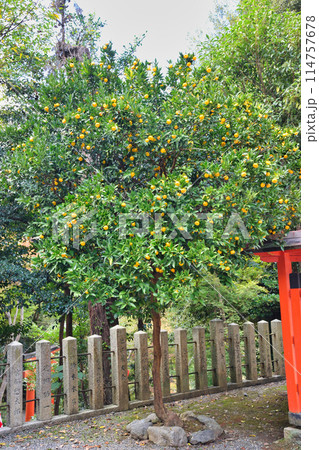 京都 吉田神社 菓祖神社(京都市左京区) 京都 吉田神社 菓祖神社(京都市左京区) 114757678
