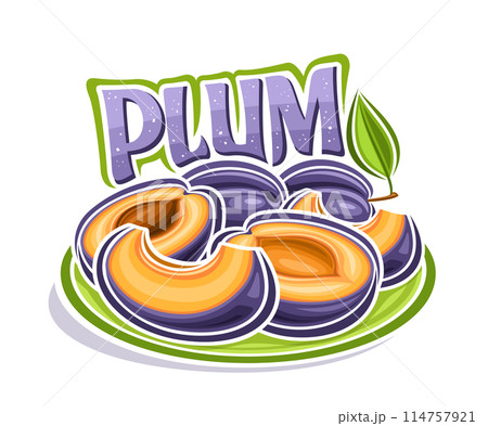 Vector logo for Plum 114757921