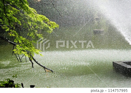 井の頭池の噴水があげる水しぶき 114757995