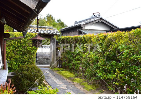 萩城下町 114758164