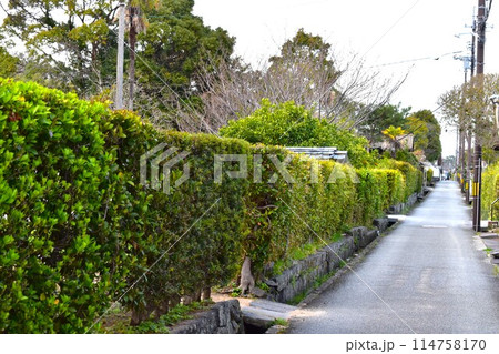 萩城下町 114758170