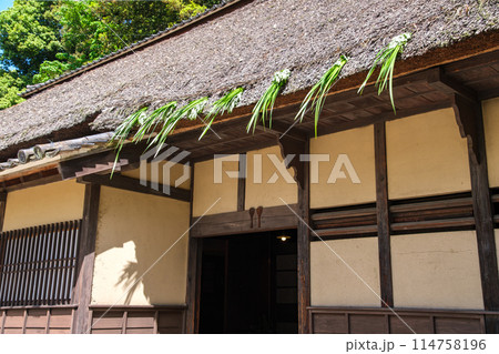 軒菖蒲のシルエット 114758196