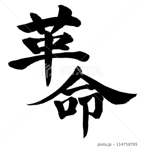 革命　筆文字素材の手書きの墨で書いた文字 斜め配置 114758795