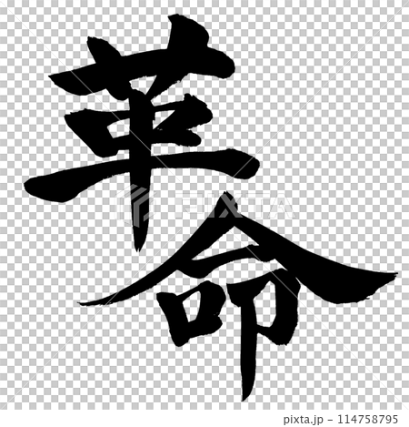 革命　筆文字素材の手書きの墨で書いた文字 斜め配置 114758795
