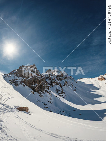 Winter Wonderland: Three rugged peaks stand tall against the snowy landscape, their shadows stretching across the mountain pass. Vertical orientation with place for text. 114758796