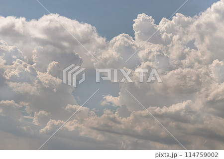 The sky is being covered with fluffy white clouds. The sky is being covered with fluffy white clouds. 114759002