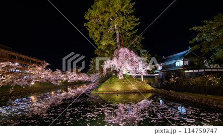 弘前城春の夜　満開の桜映す外濠と追手門　青森県 114759747
