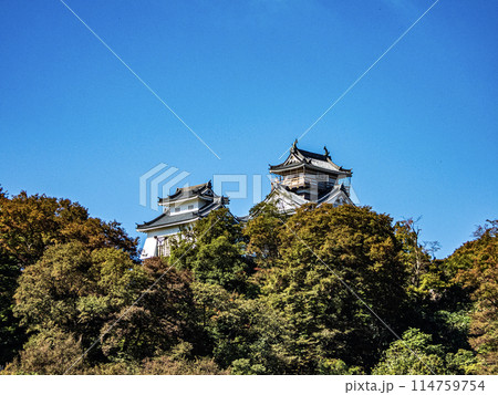 越前大野城 114759754