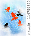 金魚のいる夏イメージの背景 114759829