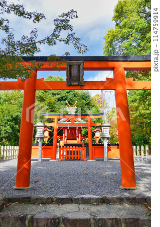 京都 吉田神社 山蔭神社(京都市左京区) 京都 吉田神社 山蔭神社(京都市左京区) 114759914