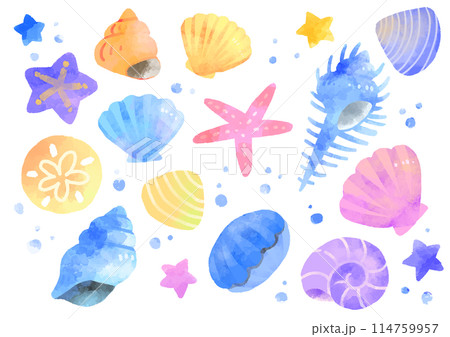 いろいろな貝殻のイラスト　手描き　水彩風 114759957