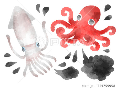 タコとイカのイラスト 手描き 水彩風 タコとイカのイラスト 手描き 水彩風 114759958