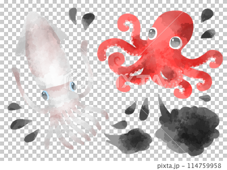 章魚與魷魚插畫手繪水彩風格 章魚與魷魚插畫手繪水彩風格 114759958