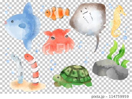 Illustrations of various fish, hand-drawn, watercolor style Illustrations of various fish, hand-drawn, watercolor style 114759959