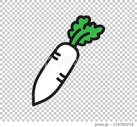 Illustration of a simple radish 114760258
