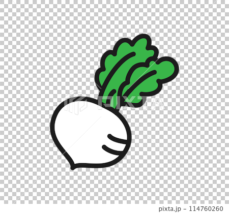 Illustration of a simple turnip Illustration of a simple turnip 114760260