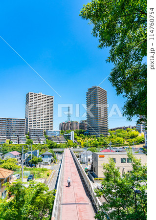 たくさんの高層マンションが並ぶ多摩ニュータウンの住宅街 たくさんの高層マンションが並ぶ多摩ニュータウンの住宅街 114760754