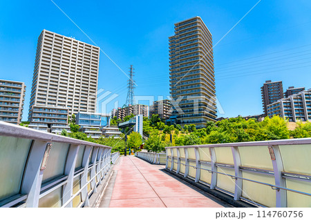 たくさんの高層マンションが並ぶ多摩ニュータウンの住宅街 たくさんの高層マンションが並ぶ多摩ニュータウンの住宅街 114760756