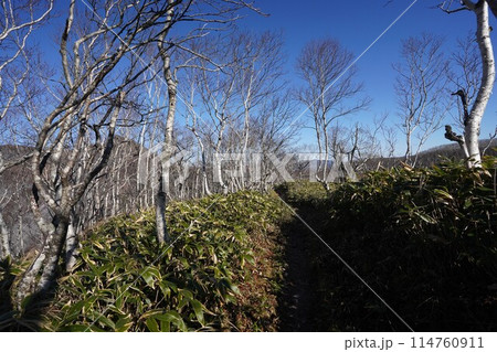 秋晴れの摩周岳に続く道 秋晴れの摩周岳に続く道 114760911