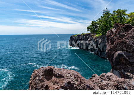 春の城ヶ崎海岸(静岡県) 春の城ヶ崎海岸(静岡県) 114761093