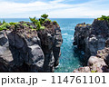 春の城ヶ崎海岸（静岡県） 114761101